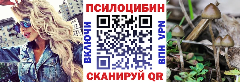 Купить  Билибино  Галлюциногенные грибы Psilocybe 